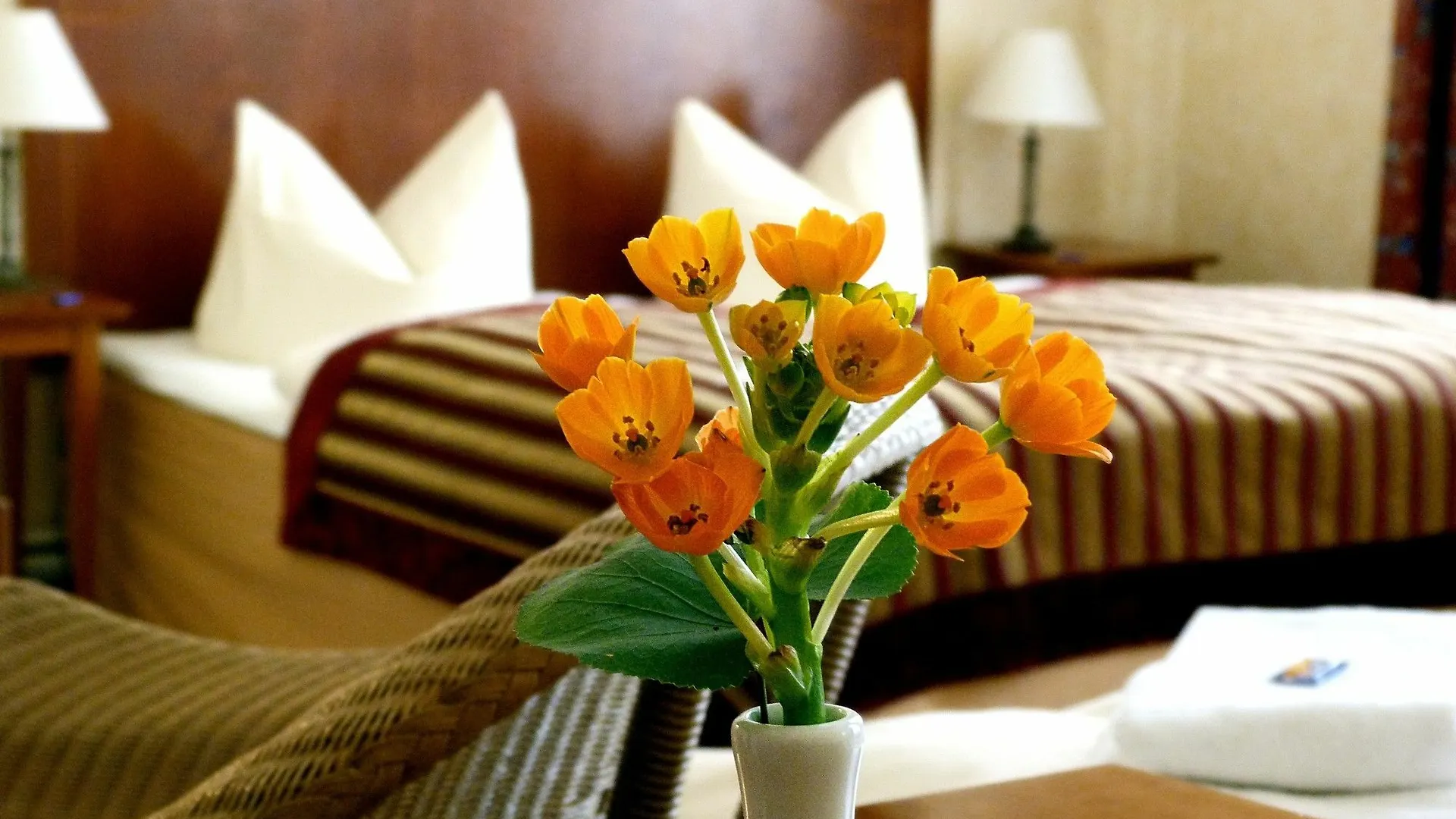 Hotel Safestay Berlin